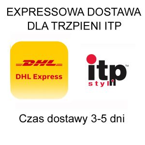 Dosta DHL Express dla ITP